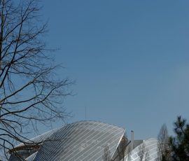 DSC_0350_DxO